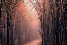 乐鱼体育活动-马德里德比正名，皇马成功获胜